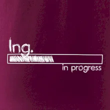 In progress  titul Ing. inženýr / inženýrka