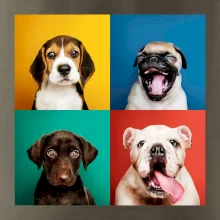 Psi štěňata koláž