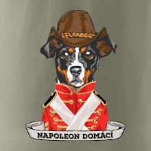 Napoleon domácí pes kříženec