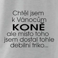 Chtěl jsem dostat k Vánocům koně