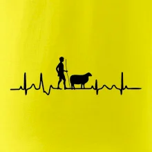 Ekg pastevec ovcí