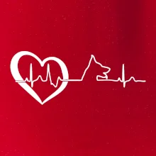 Německý ovčák ekg