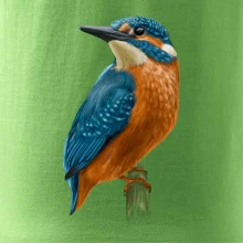 Lednáček kreslený