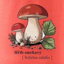 Hřib smrkový - Boletus edulis kreslený