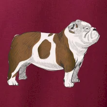 Vintage English bulldog