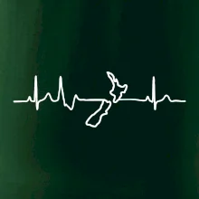 Nový Zéland EKG