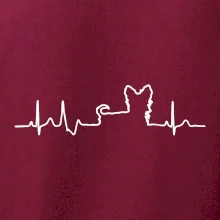 Jorkšírský teriér EKG