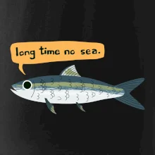 Long time no sea