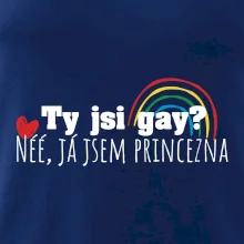 Gay princezna