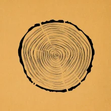 Letokruhy 30 bez věku