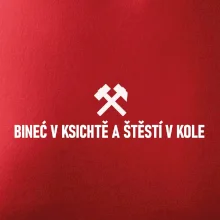 BINEĆ V KSICHTĚ A ŠTĚSTÍ V KOLE﻿