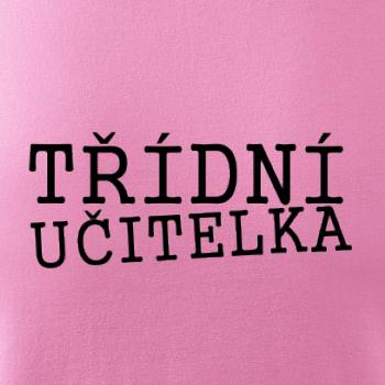 Třídní učitelka