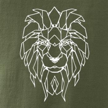 Geometrie - lev tvář