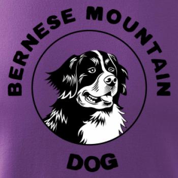 Bernese mountain dog v kruhu