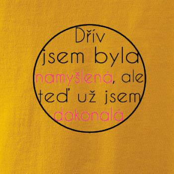 Dokonalá kruh