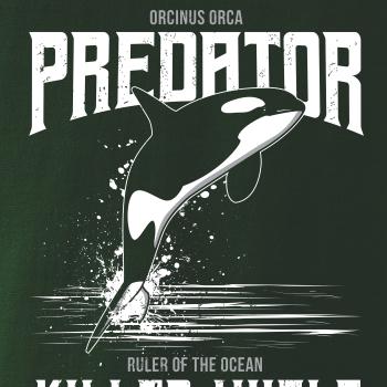 Orca predator Orca predator
