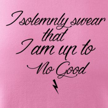 I solemnly swear that I'm up to no good