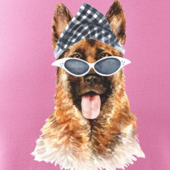 German shepherd se šátkem