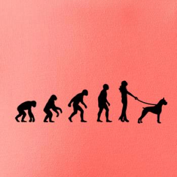 Evoluce pes boxer (muž-žena)