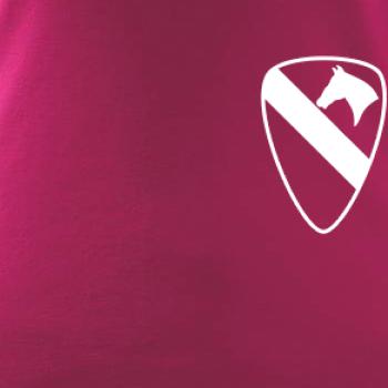 1st Cavalry Division prsa