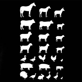 Zvířátka z vesnice