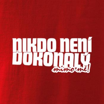 Nikdo není dokonalý mimo mě