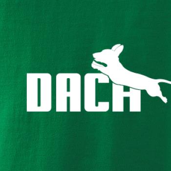 Jezevčík Dach Jezevčík Dach