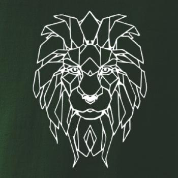 Geometrie - lev tvář Geometrie - lev tvář