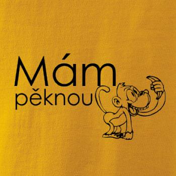 Mám pěknou vopici Mám pěknou vopici