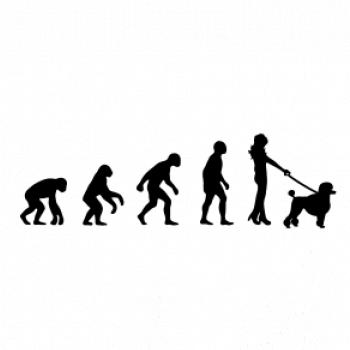 Evoluce pes pudl (muž-žena) Evoluce pes pudl (muž-žena)