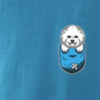 Bišonek v kapsičce