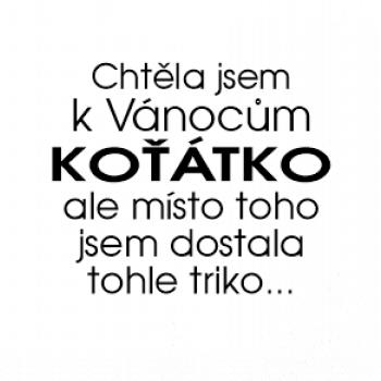 Chtěla jsem k Vánocům koťátko