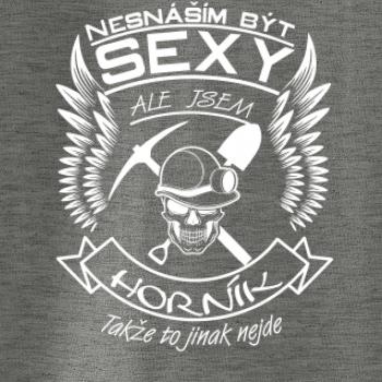 Nesnáším být sexy - horník