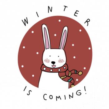 Winter is coming zajíc