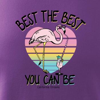 Best the best plameňák