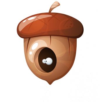 Žalud jako domeček