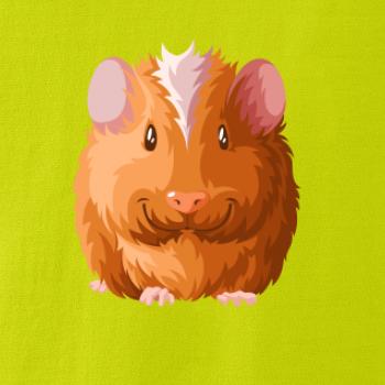 Morče - kreslené zepředu