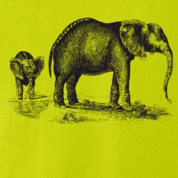 Slonice a slůně kreslené