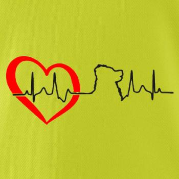 Bernský salašnický pes EKG