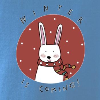 Winter is coming zajíc