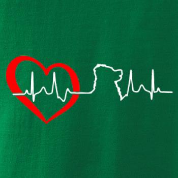 Bernský salašnický pes EKG