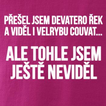 Viděl jsem velrybu couvat