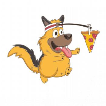 Pes s pizzou
