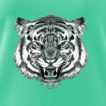 Tygr trošku naštvaný