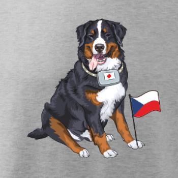 Pes záchranář bernský salašnický