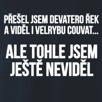 Viděl jsem velrybu couvat