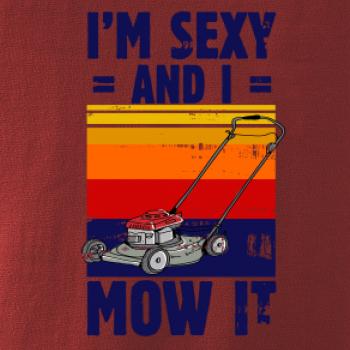 I'm sexy and i mow it