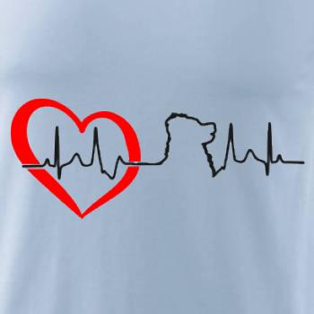Bernský salašnický pes EKG