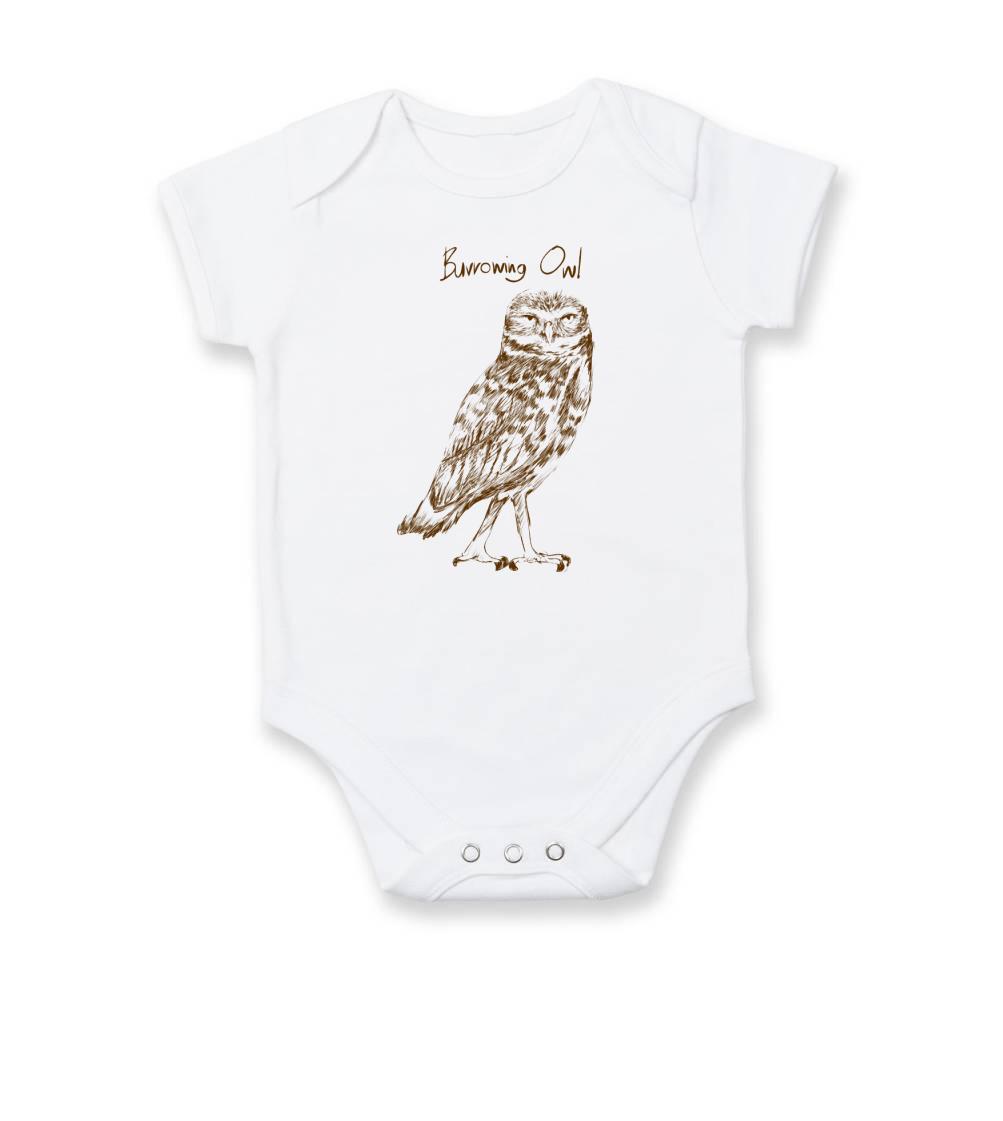 Sýček králičí burrowing owl - Body kojenecké