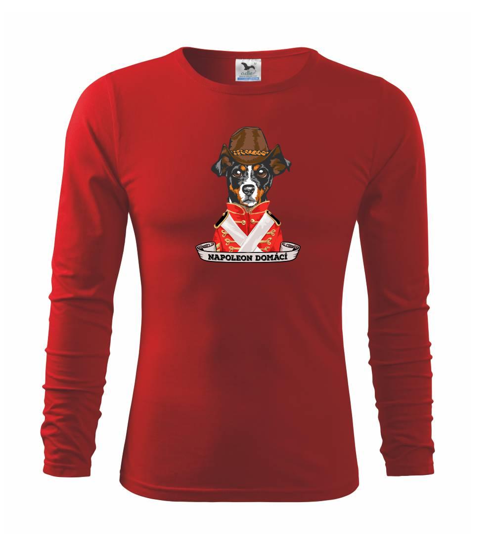 Napoleon domácí pes kříženec Napoleon domácí pes kříženec